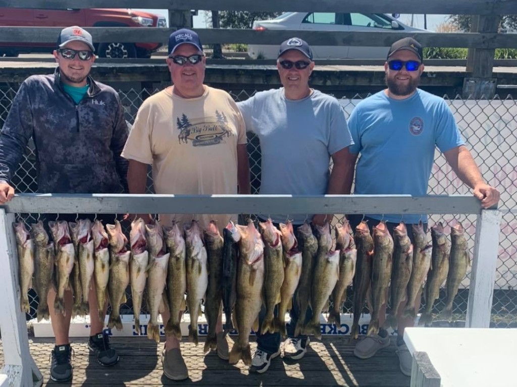 6 sauger fish caught on a fishing trip in Erie