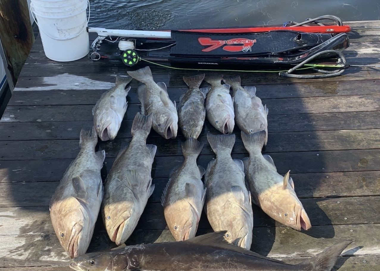 Anglers reeling in 9 fish during a fishing trip in Tampa, Florida