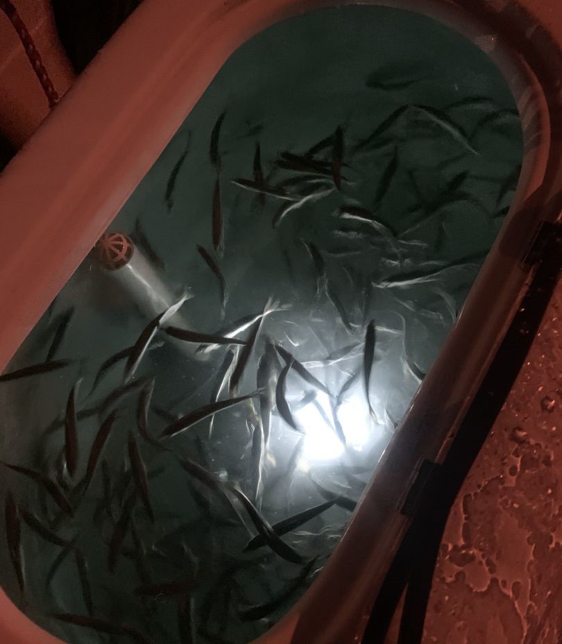 Fishing adventure in Tampa