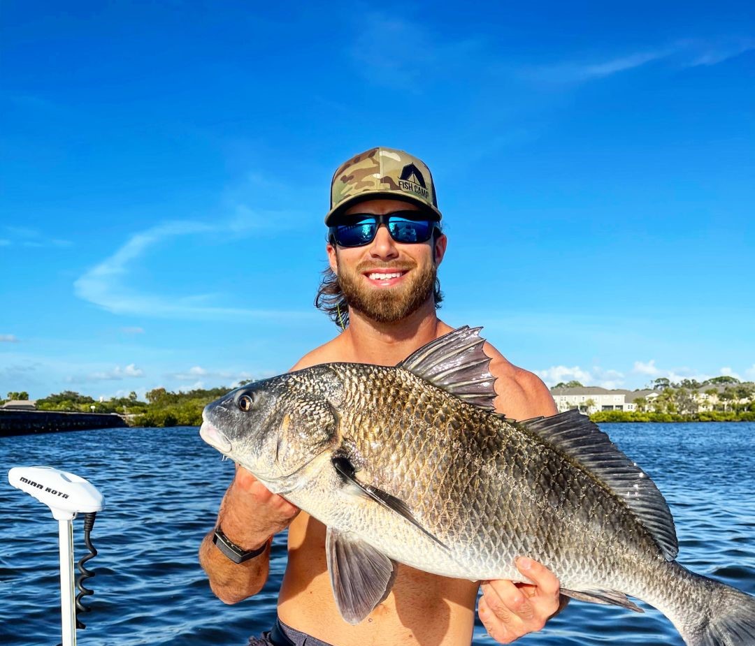 A black drum fish caught in Florida