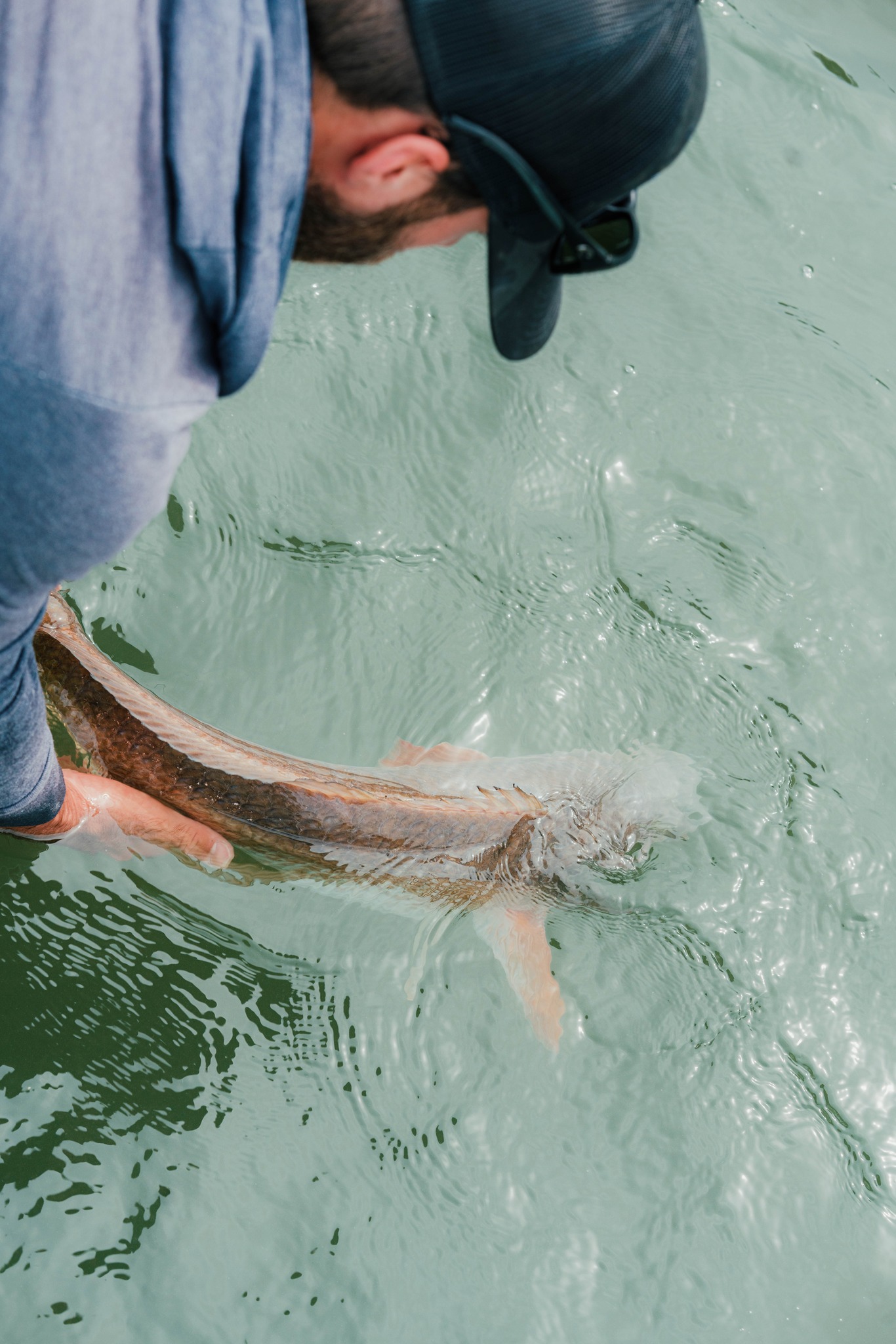 Fishing adventure in Tampa