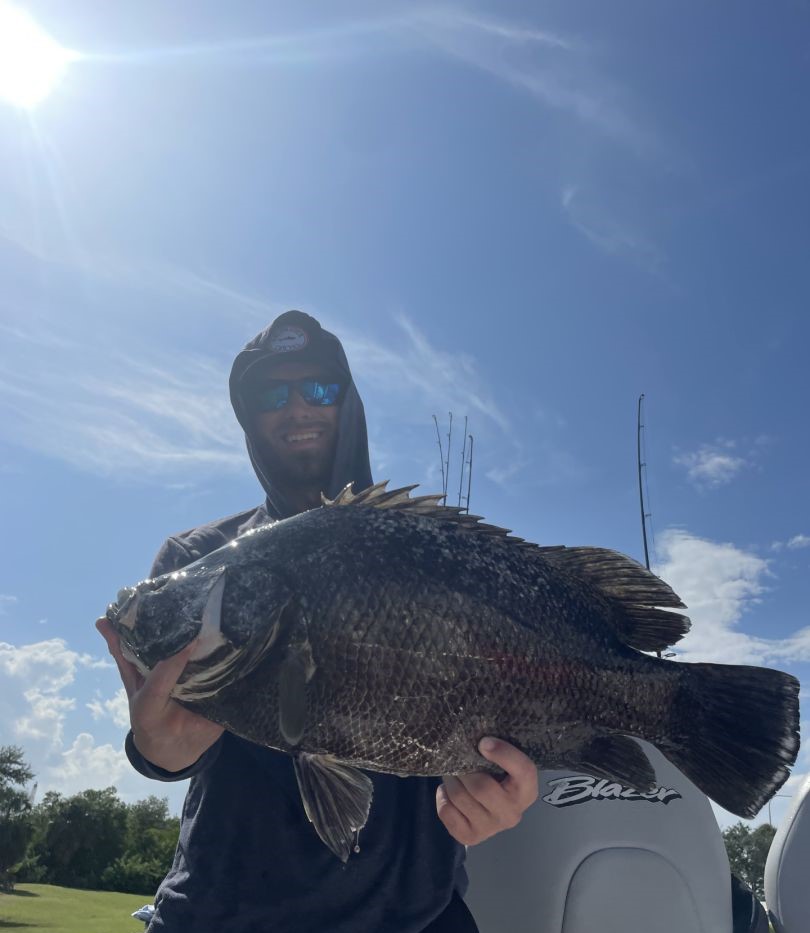 Tripletail fish caught while fishing in FL