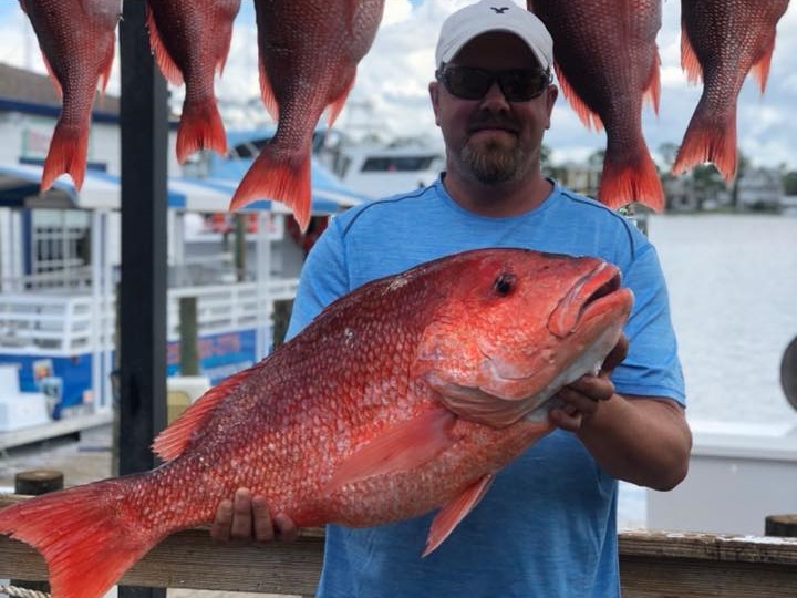 Angler holding 4 big freshwater fish in AL