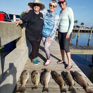 6 freshwater fish caught while fishing in Homosassa