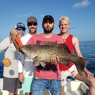 Gag grouper caught in Homosassa, Florida during fishing trip