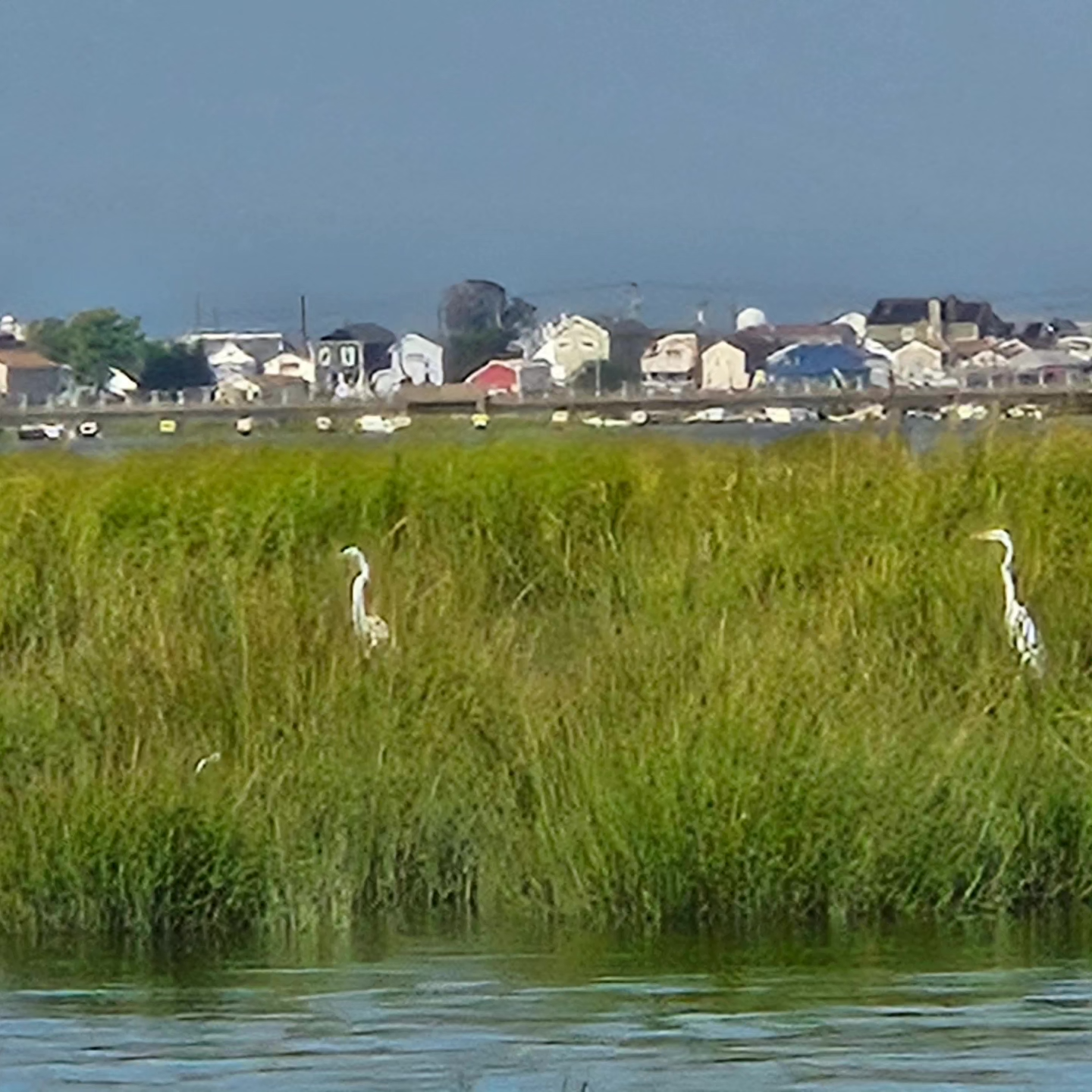 Scenic view of Howard Beach in New York
