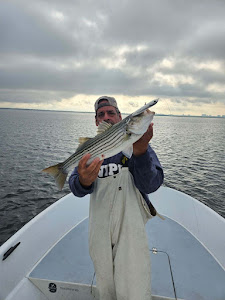 Striped Bass caught while fishing in NY