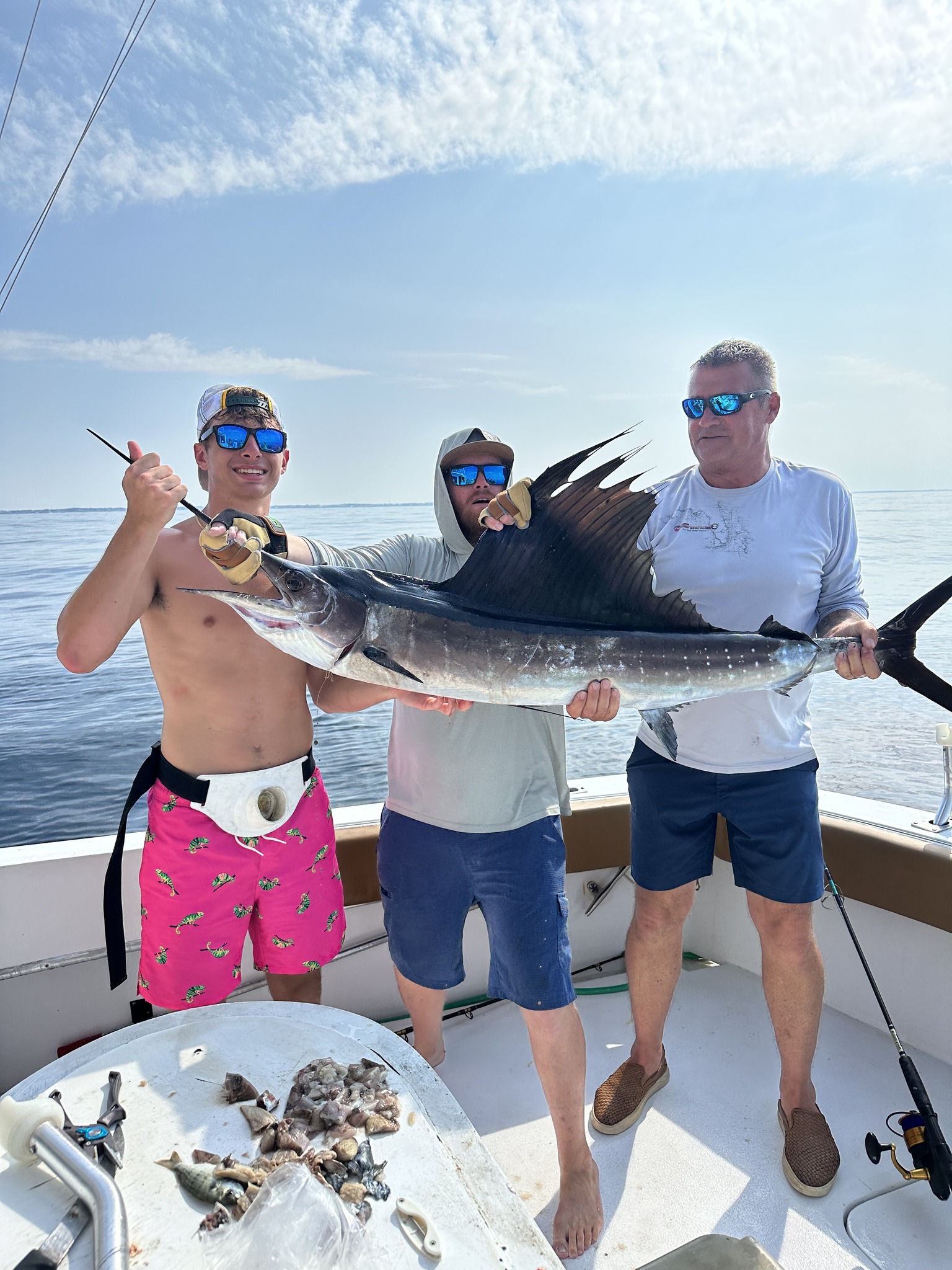 A single Atlantic Sailfish caught in FL