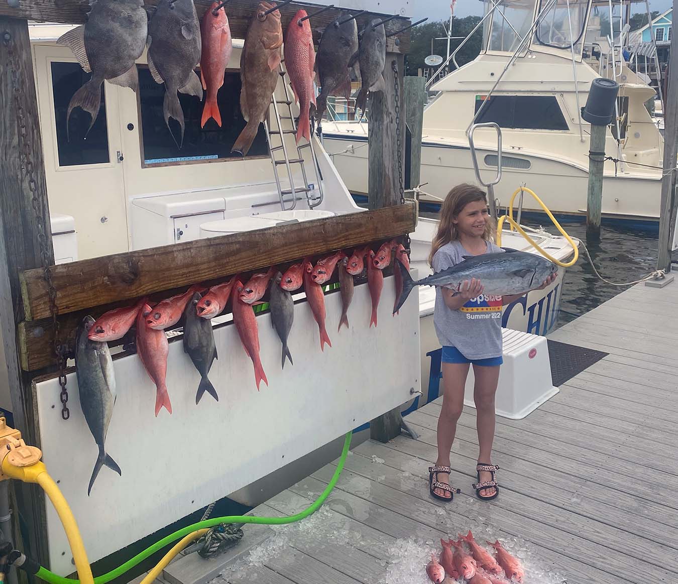 10 Blue Runner and Grey Triggerfish, 25 inch fish caught while fishing in FL