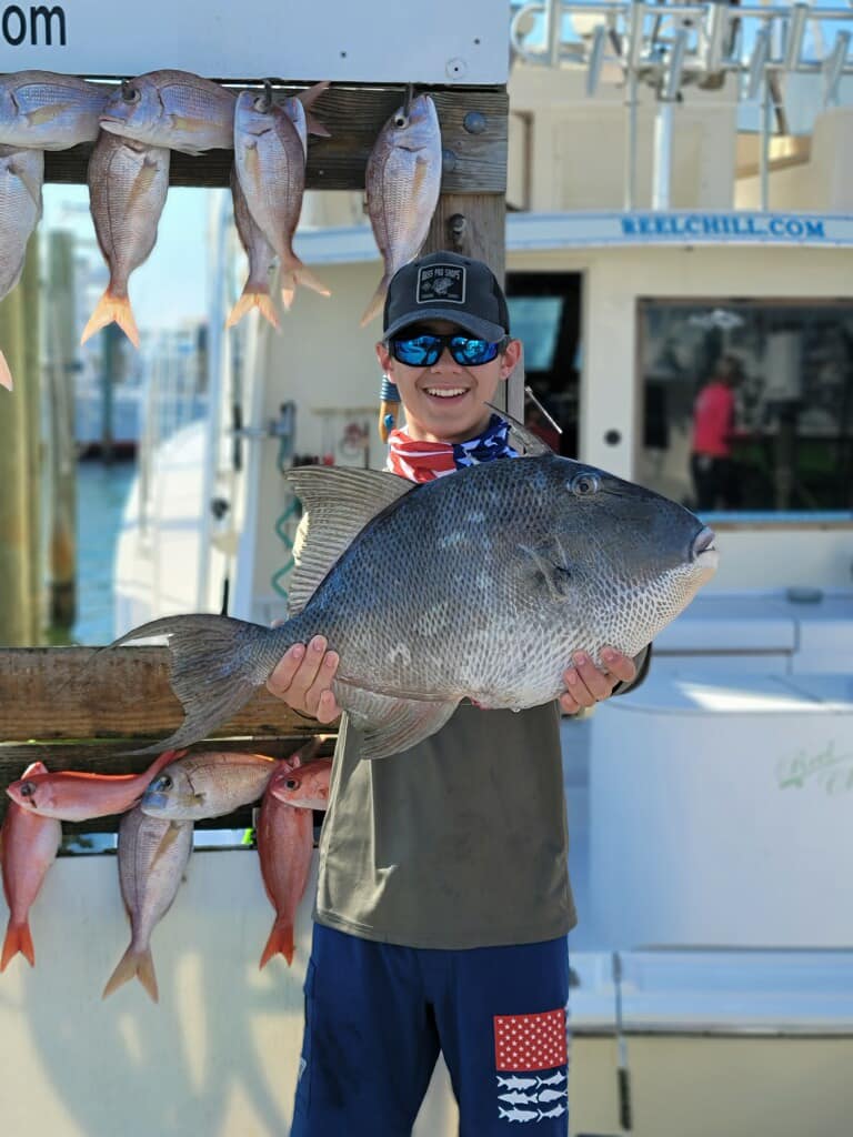3 grey triggerfish and blue runner fish, fishing in FL