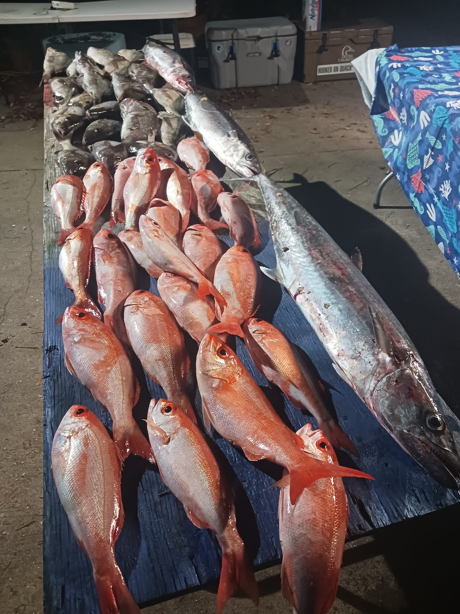 Angler with 6 big fish caught in NC