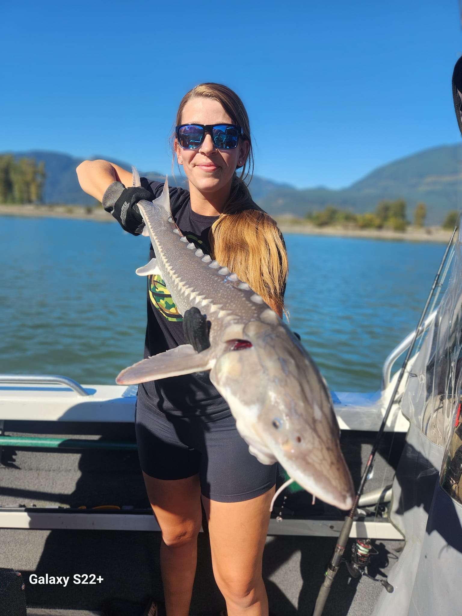 White Sturgeon fish caught in Chilliwack