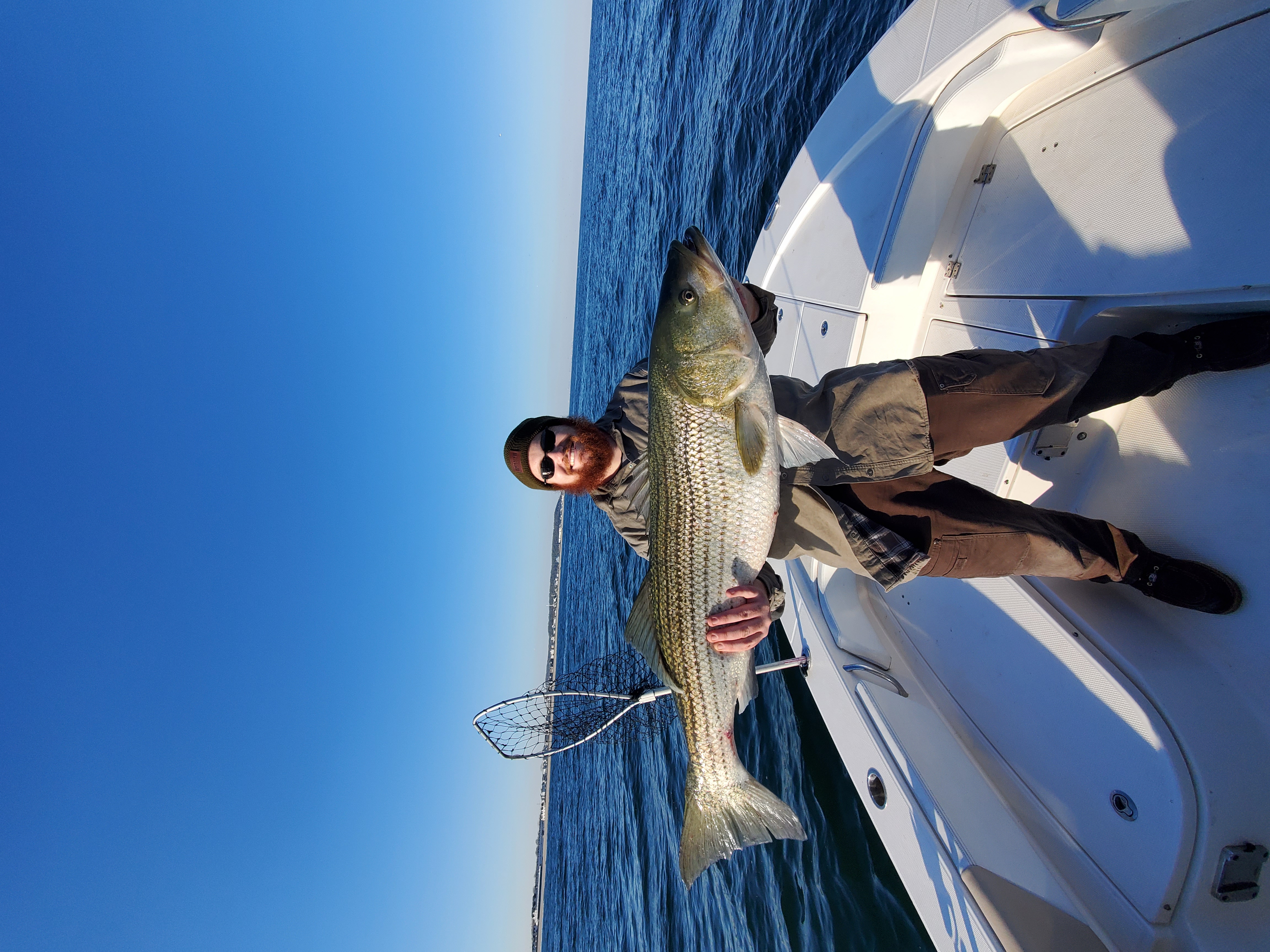 Striped bass caught while fishing in New Jersey