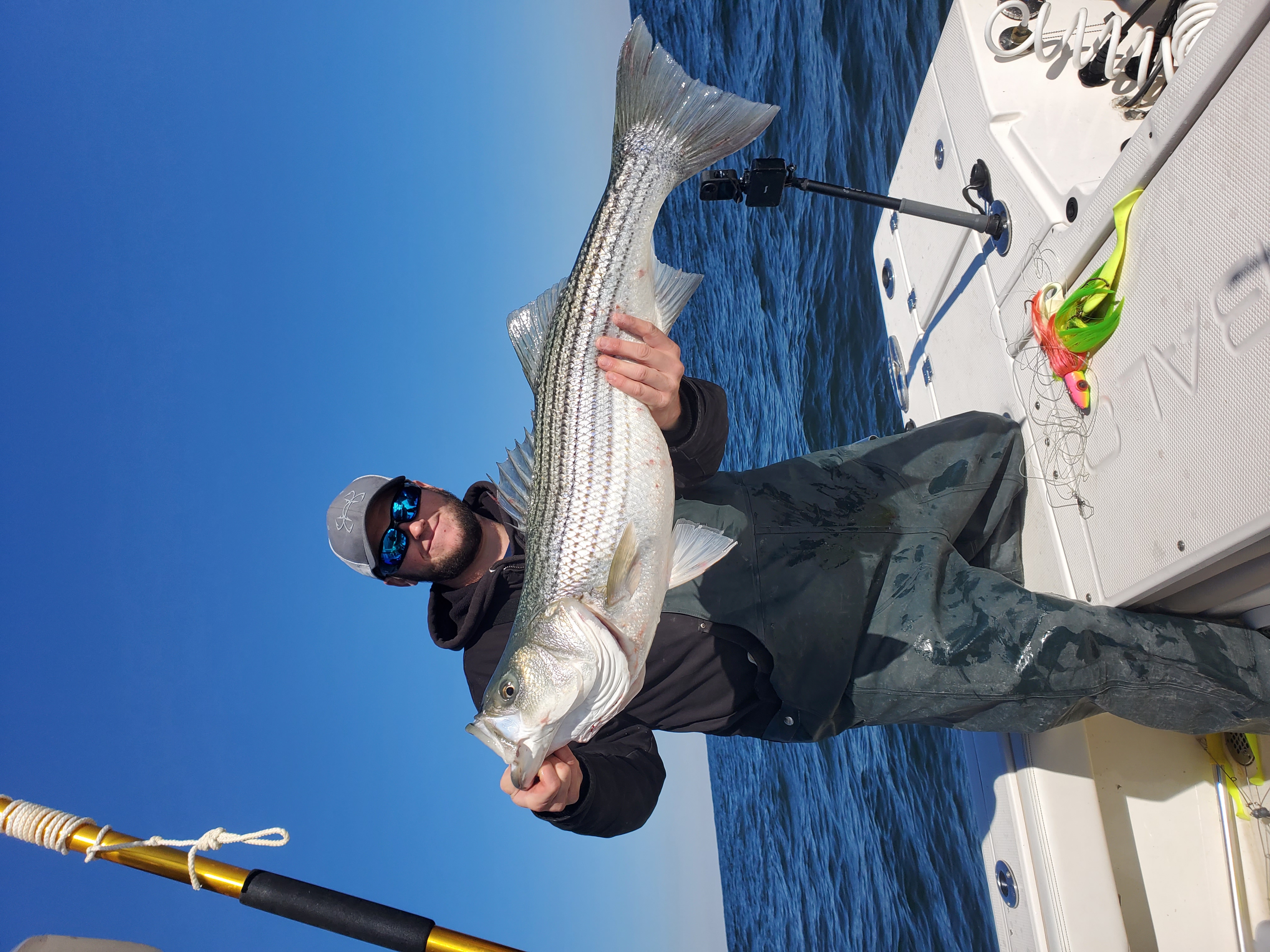 Striped bass caught in NJ