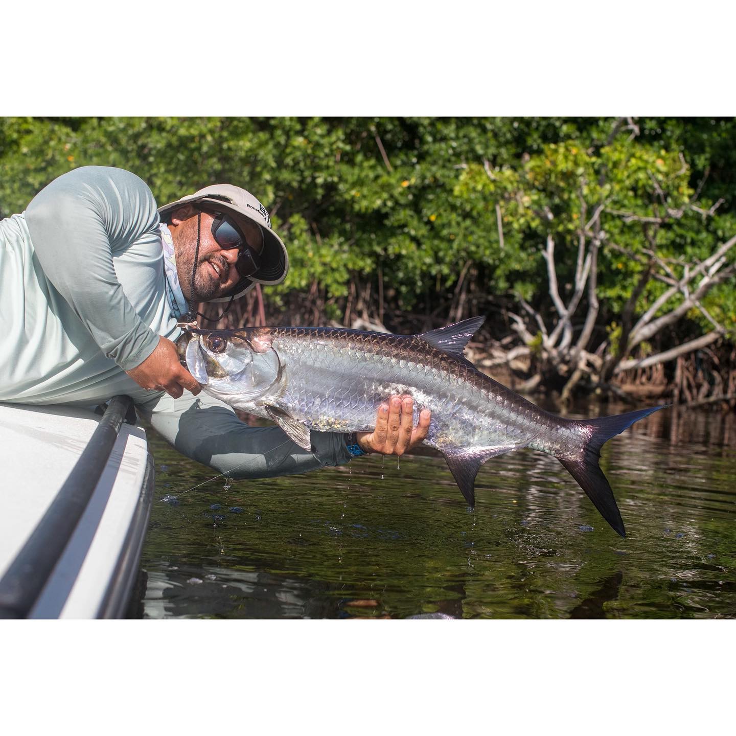 Tarpon fishing in FL
