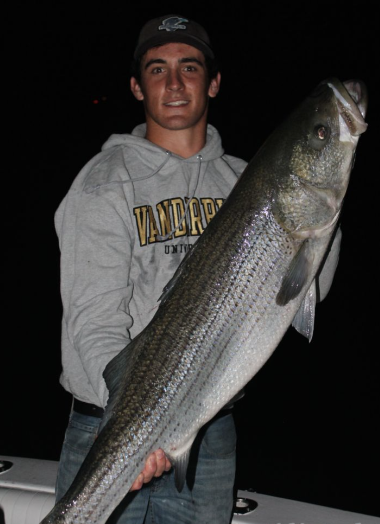 Striped bass caught in Montauk