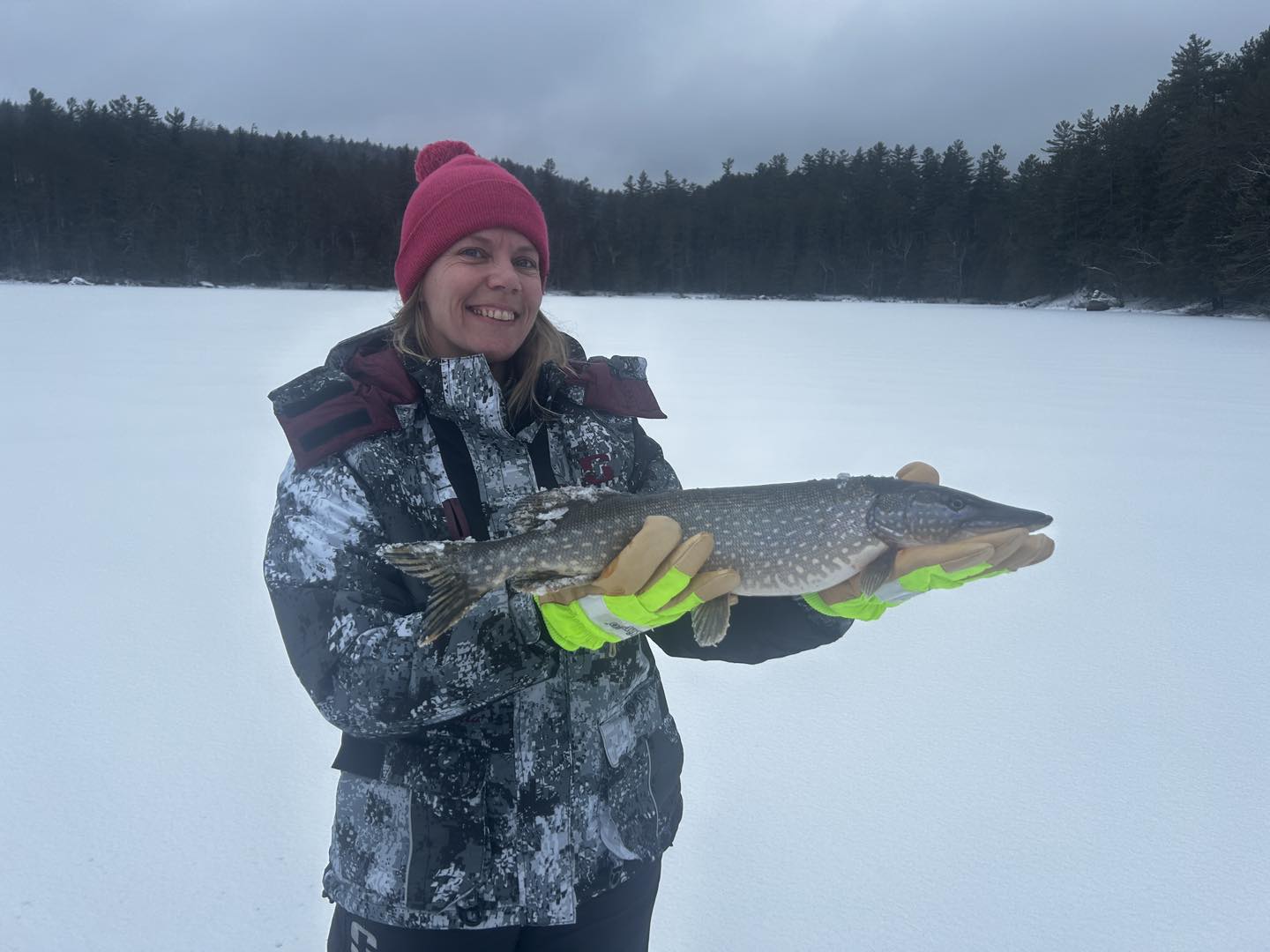 Northern pike caught ice fishing on frozen lake in Paul Smiths NY