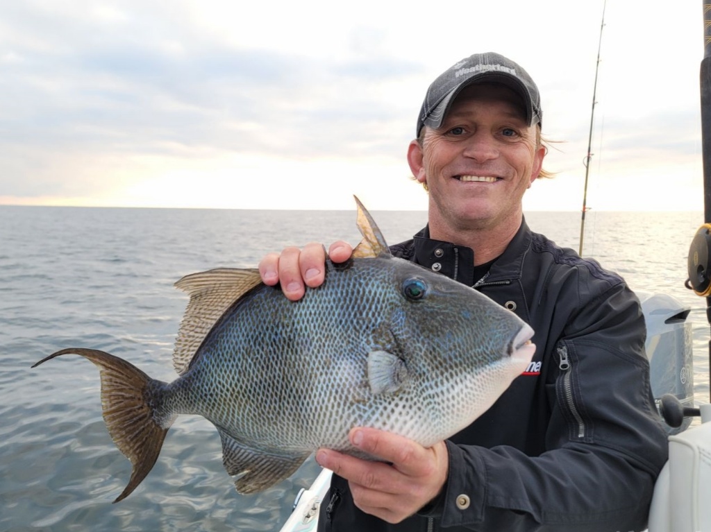 A grey triggerfish, a 21-inch saltwater fish, caught in FL
