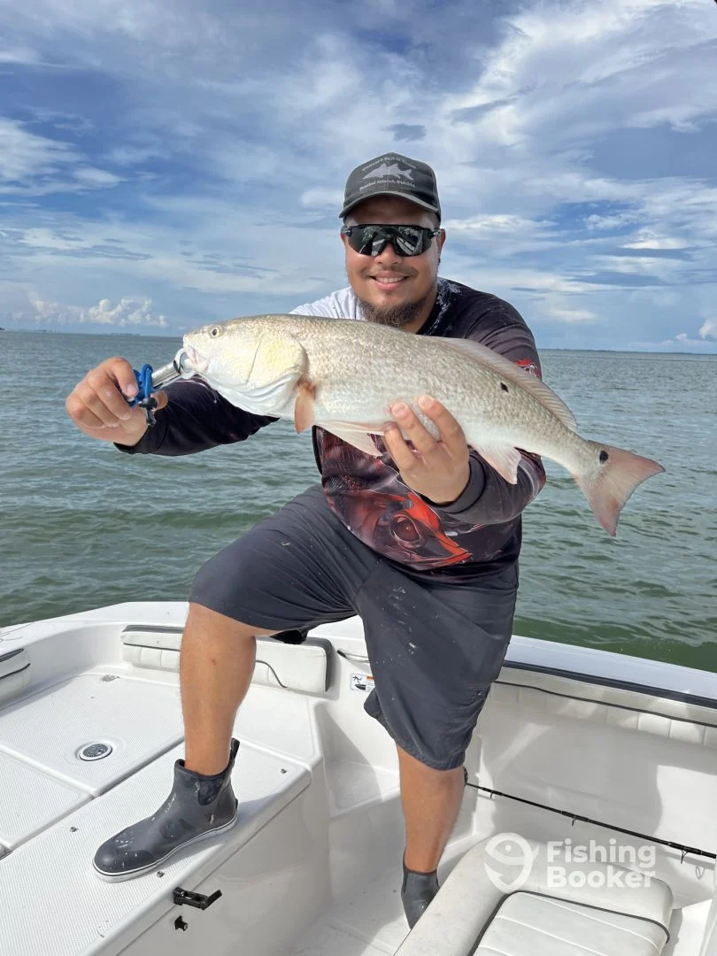 Lone angler with a 23-inch fish in Cape Coral