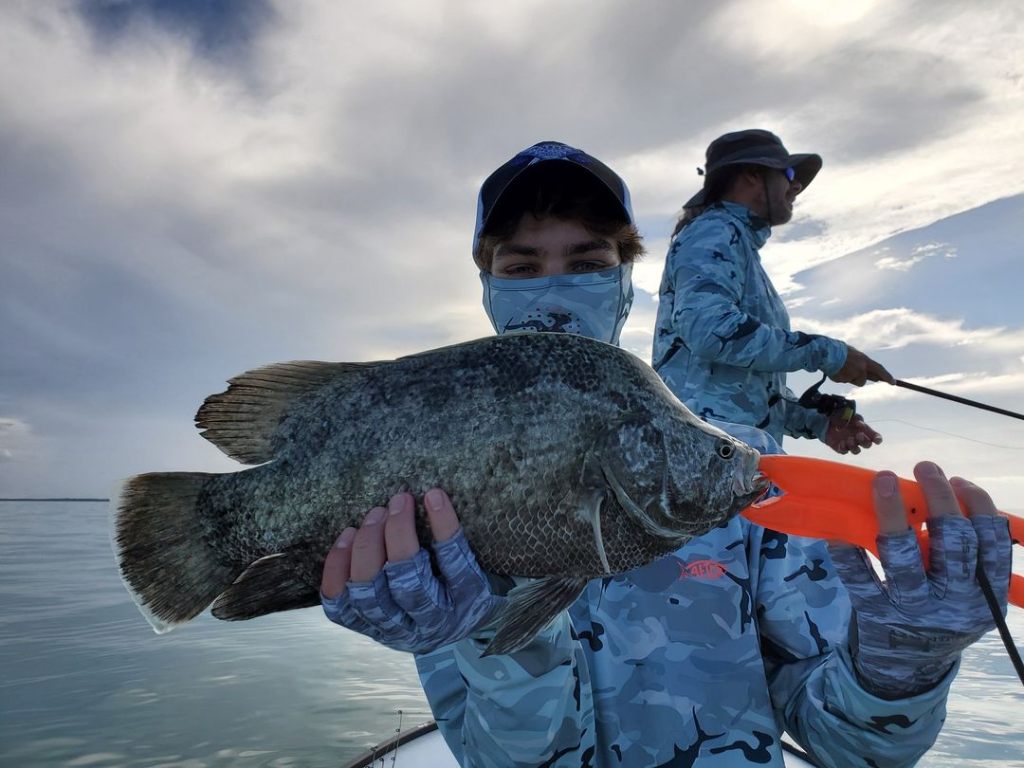 Tripletail fish caught in Chokoloskee, Florida
