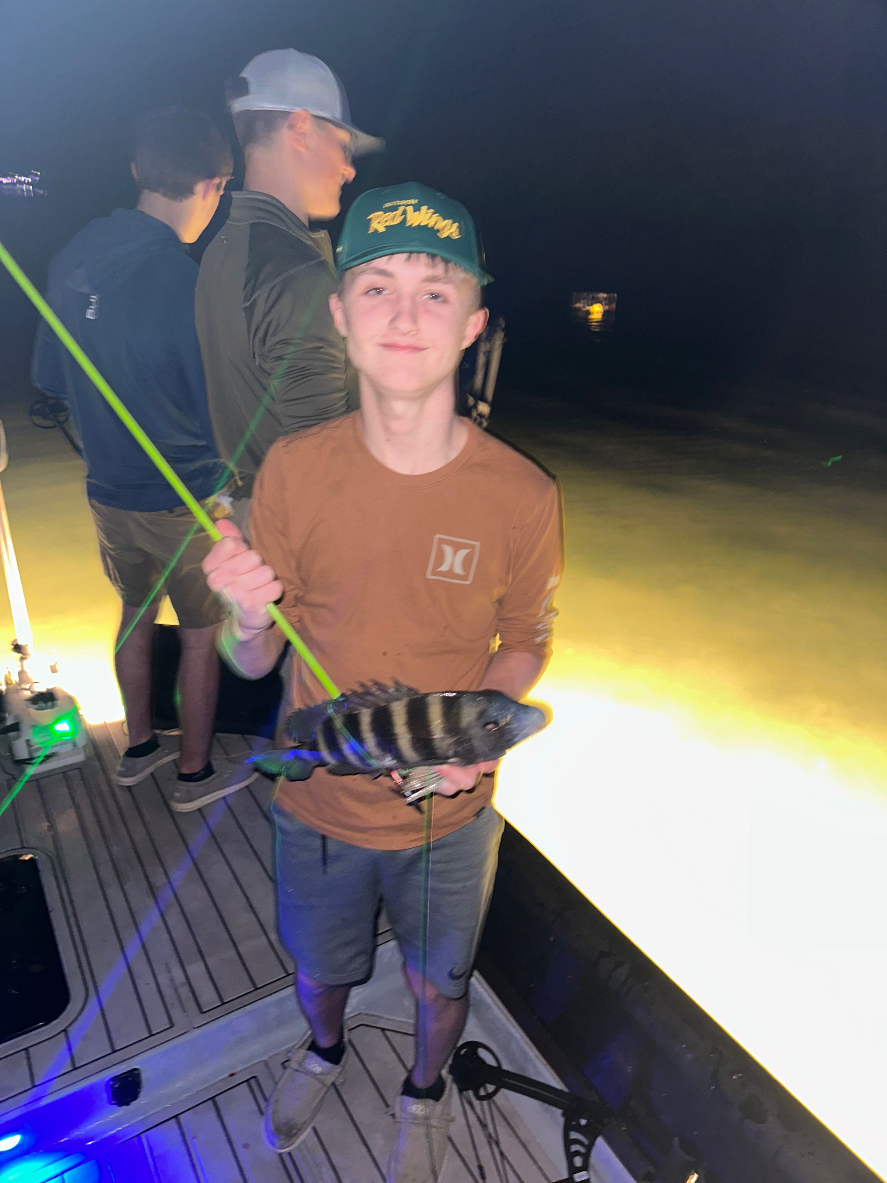 Sheepshead fish caught in FL
