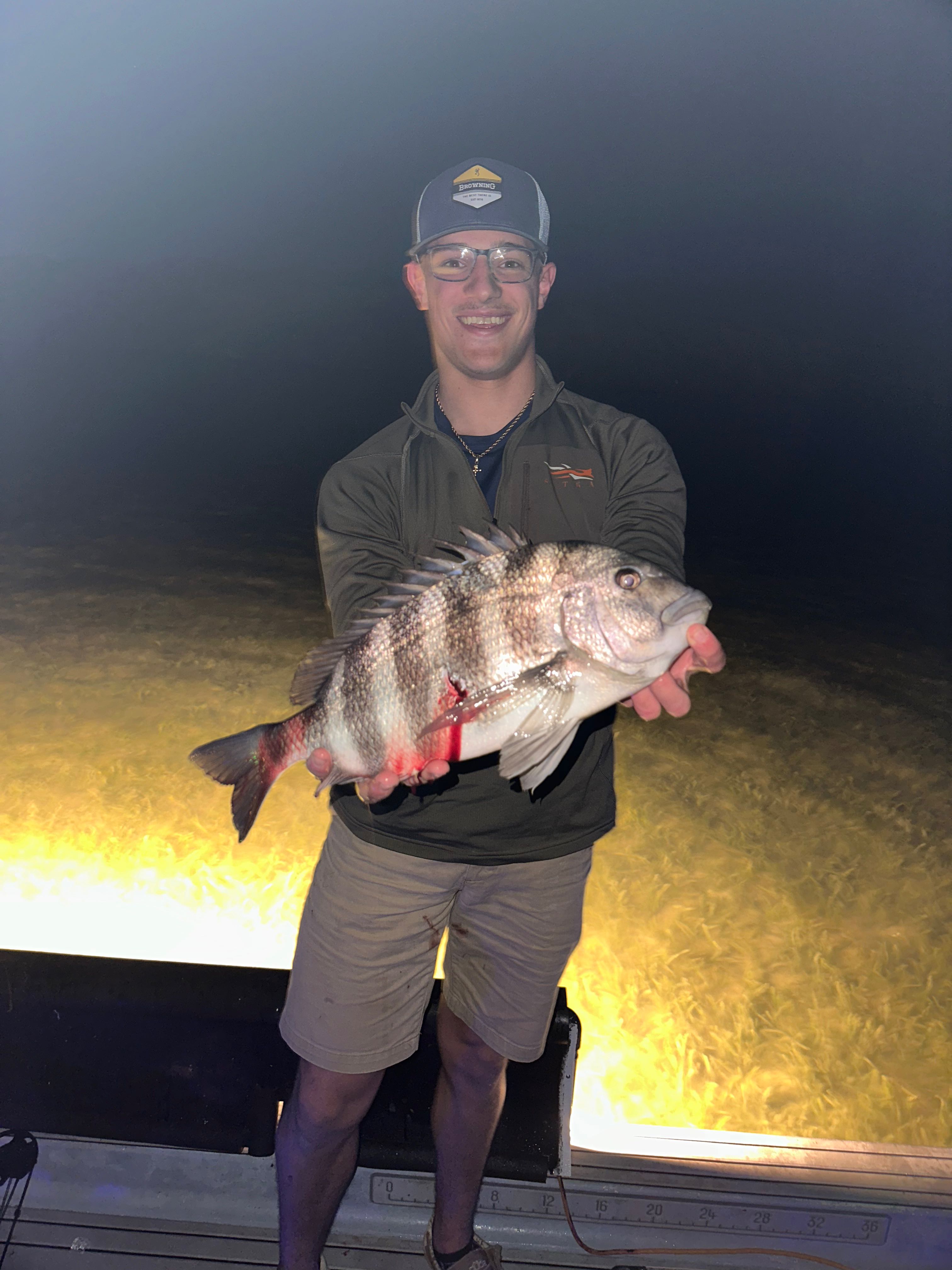 Sheepshead fish caught in Vero Beach