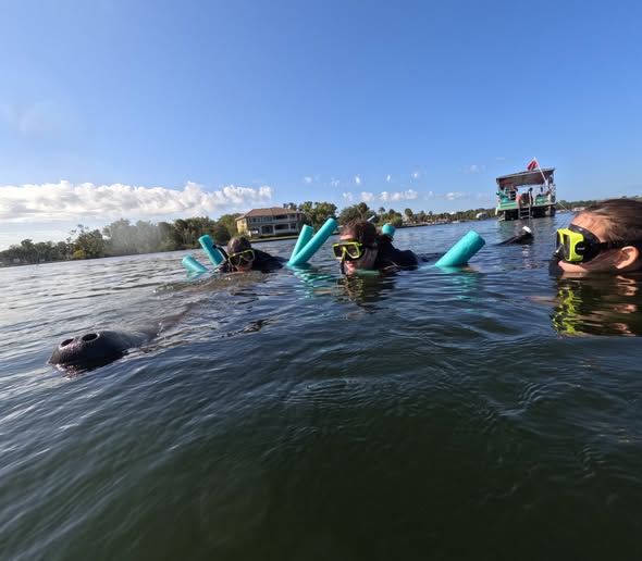 Scenic view of the Crystal River, a popular destination for fishing, tours, and water sports.