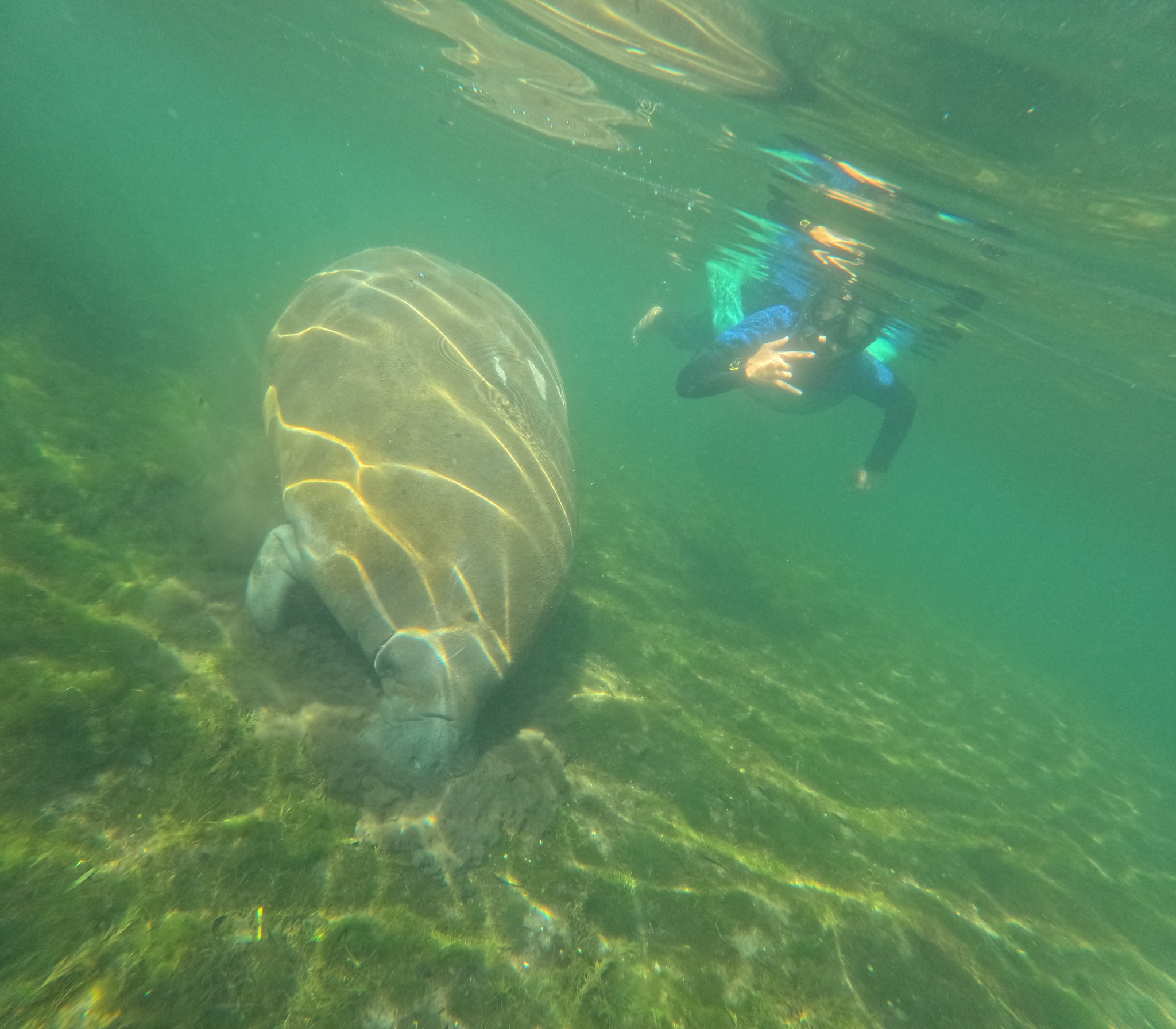 Scenic Florida fishing tour or water sports adventure