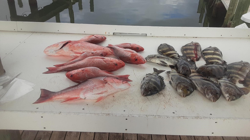 Two fish caught in Gulf Shores