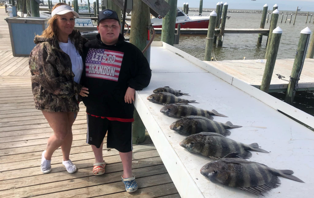 Three sheepshead fish caught in AL