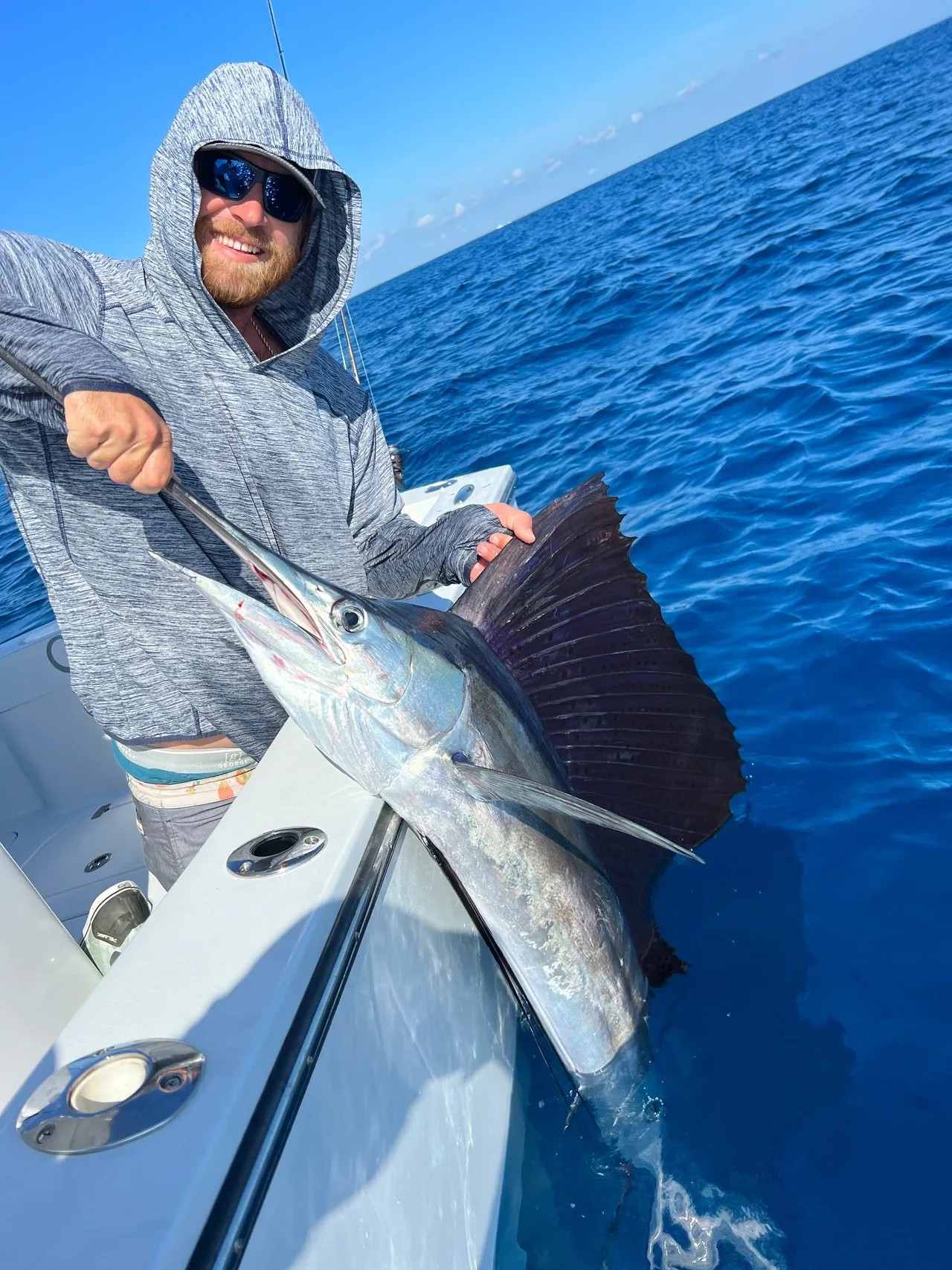 Angler catches a massive Atlantic Sailfish in Stuart, Florida