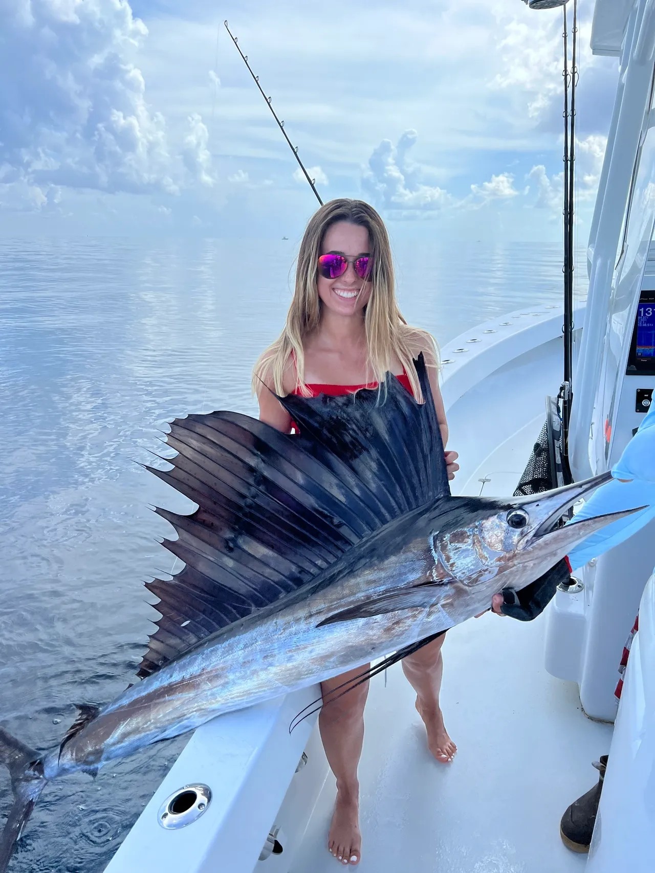 Striped Searobin fish caught while fishing in FL