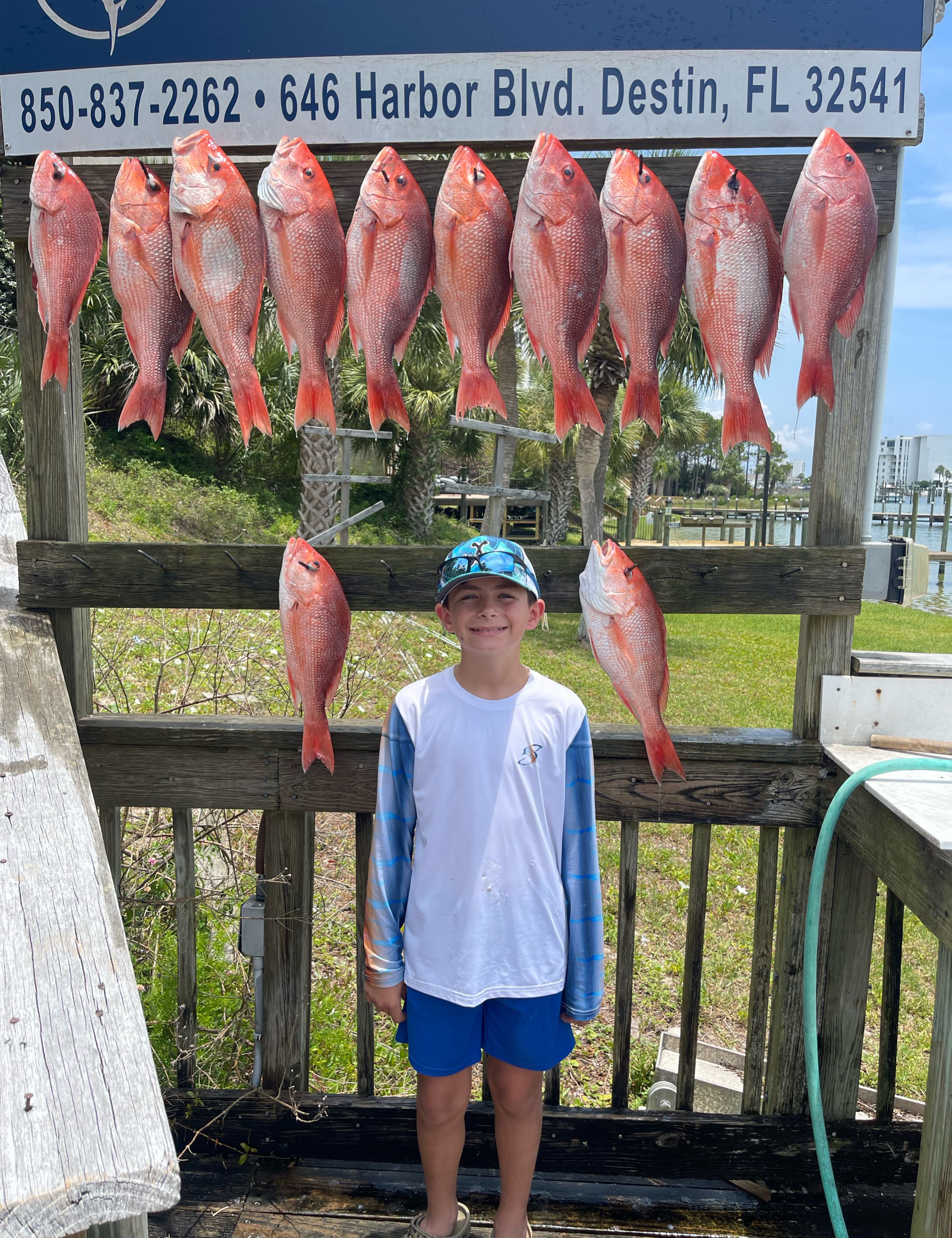 12 grey snapper fish caught in Destin