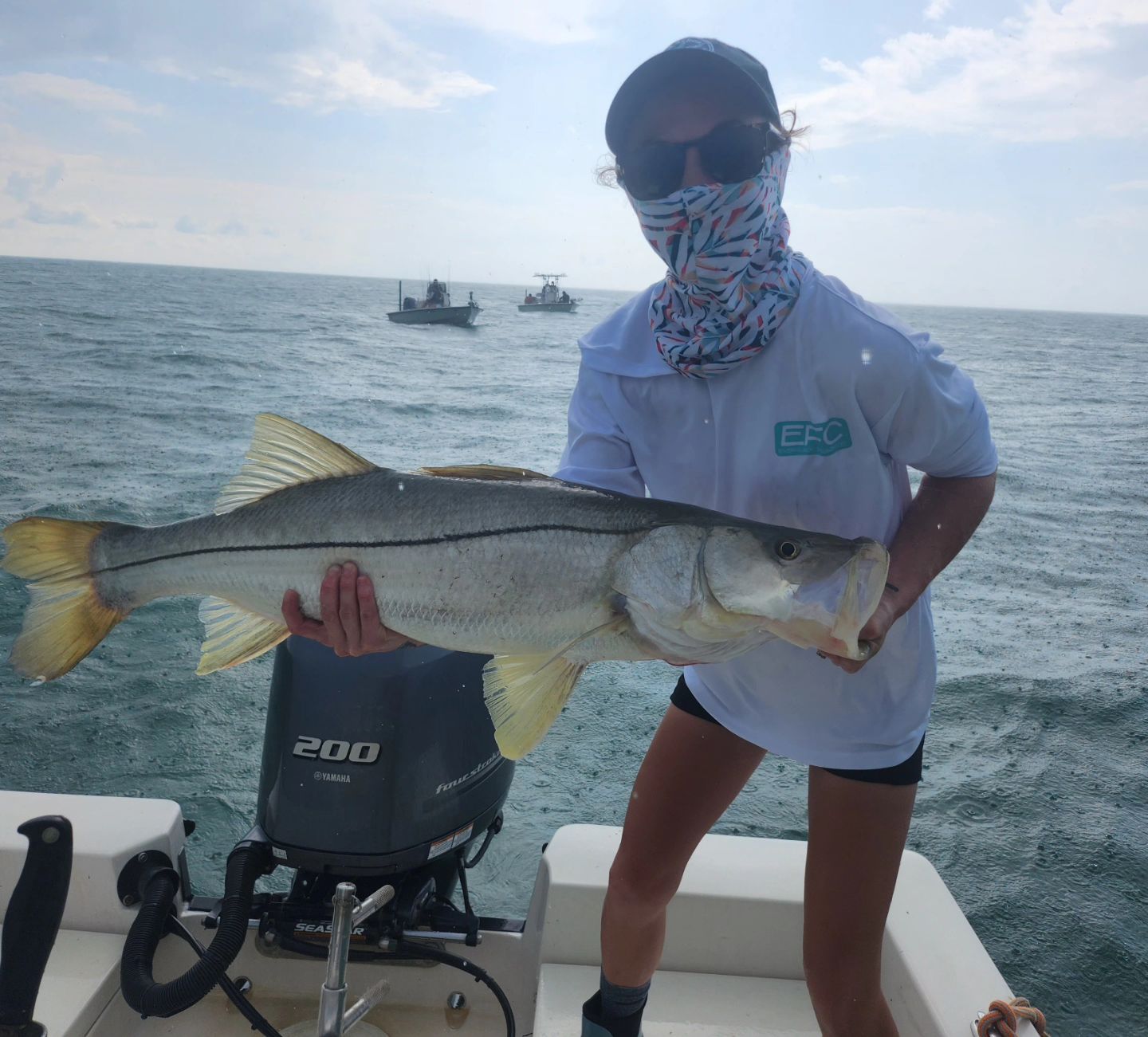 A snook fish caught in the Everglades City, Florida