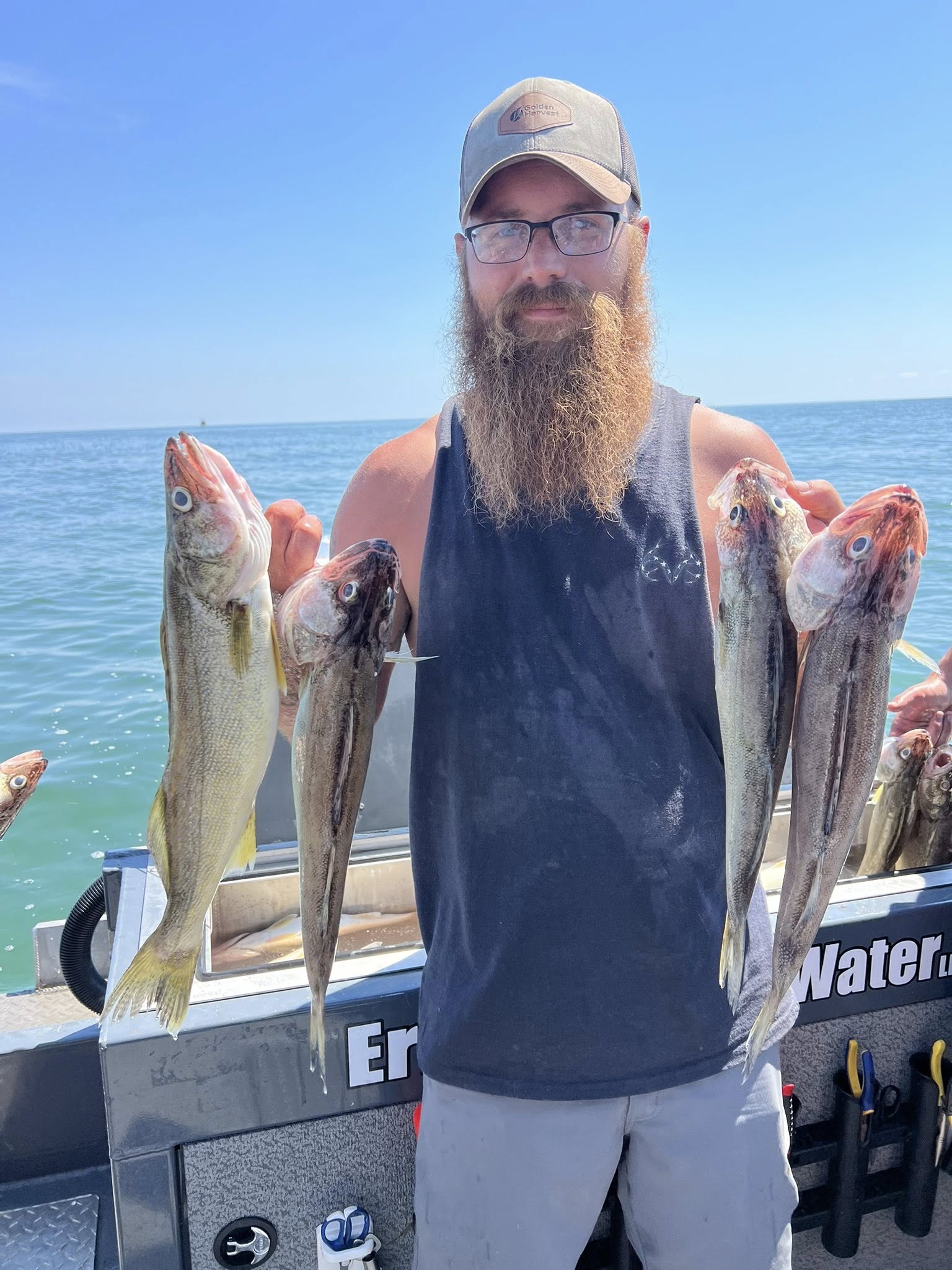 Angler fishing at Lakeside Marblehead