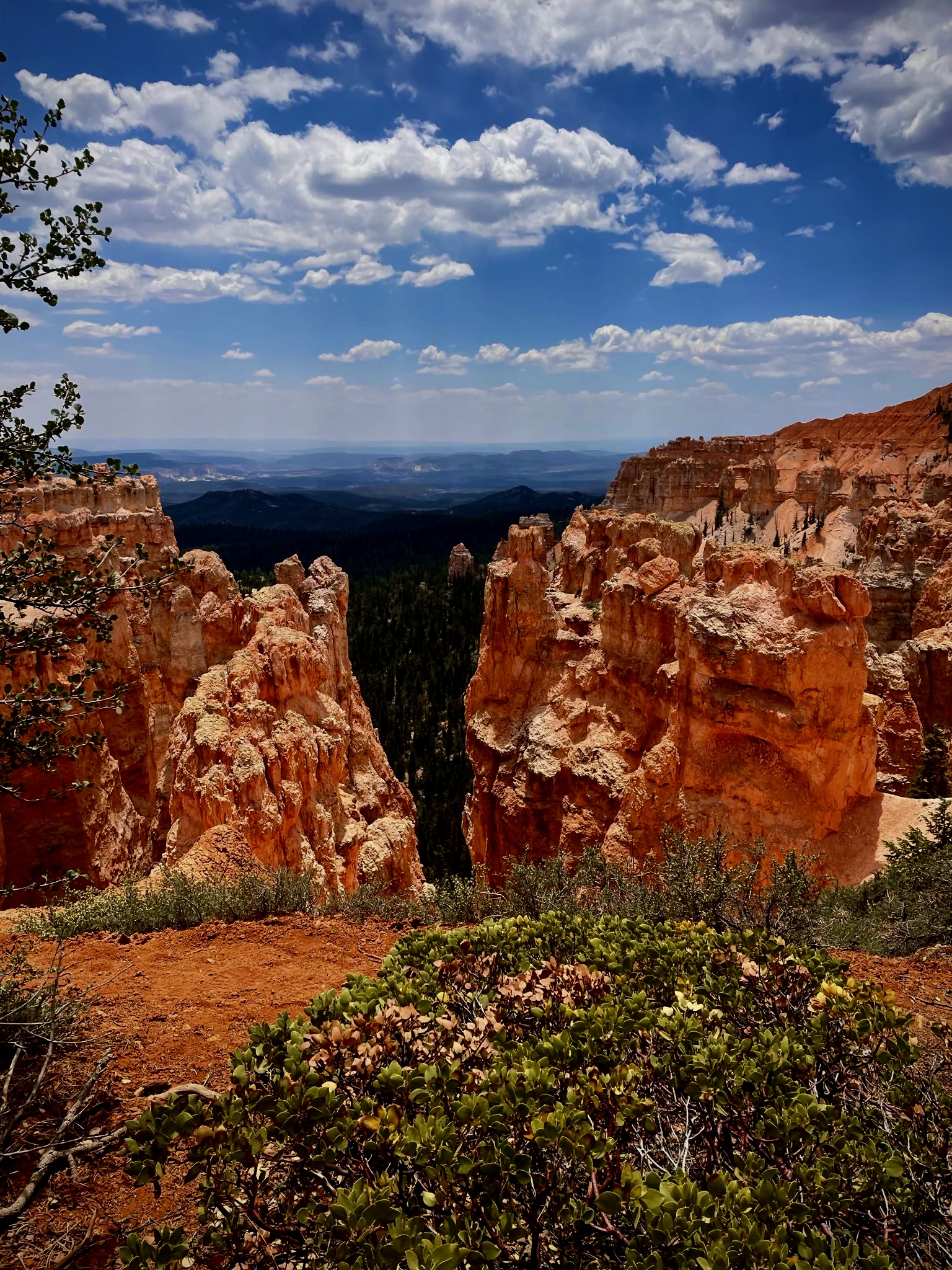 Red rock canyon formations with layered sandstone cliffs and desert vegetation under blue sky with white clouds