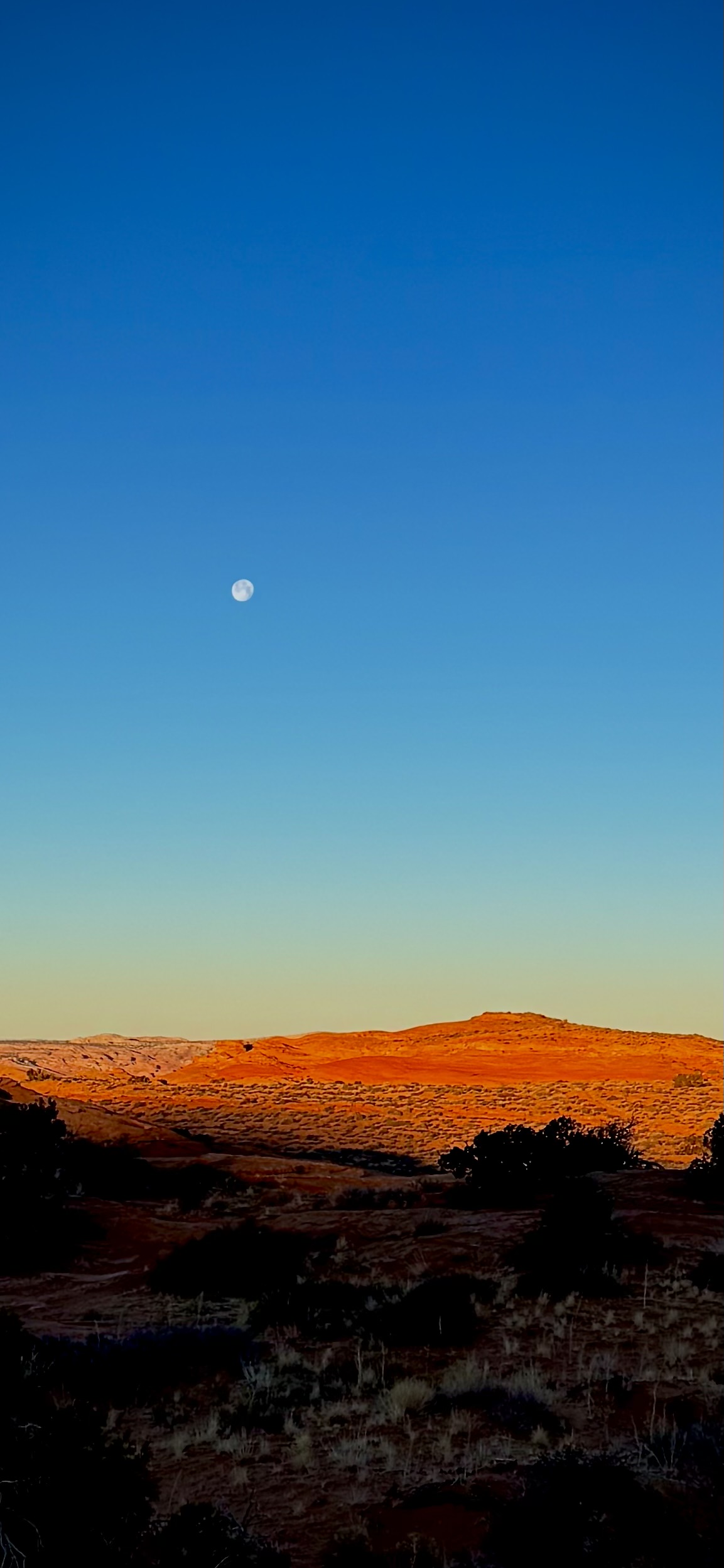 Desert landscape with orange rocky hills under blue gradient sky with visible moon during golden hour