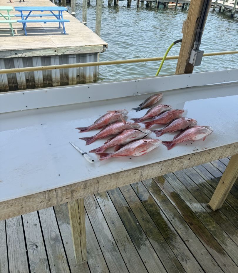 Fishing in FL with the best gear