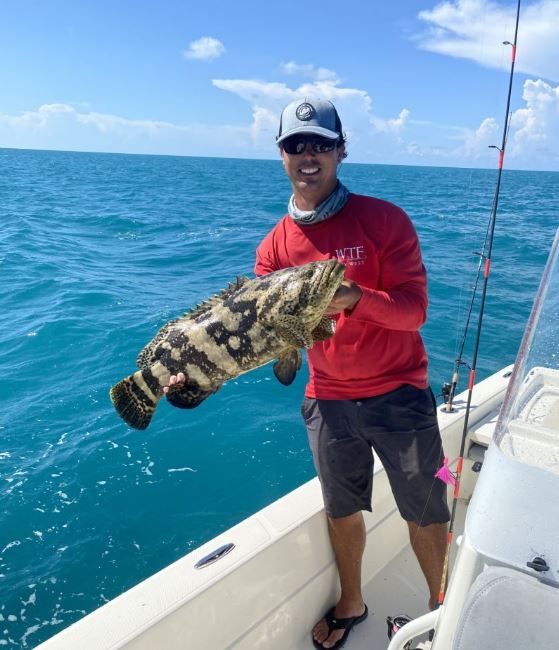 Malabar grouper fish caught while fishing in FL