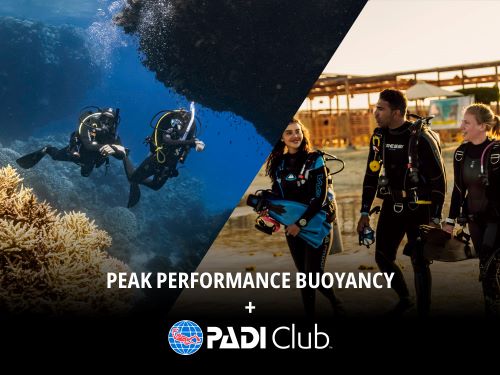 PADI Peak Performance Buoyancy eLearning and Club Membership Bundle course materials and benefits