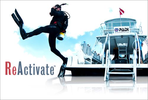 PADI ReActivate eLearning scuba diving refresher course on laptop and mobile devices