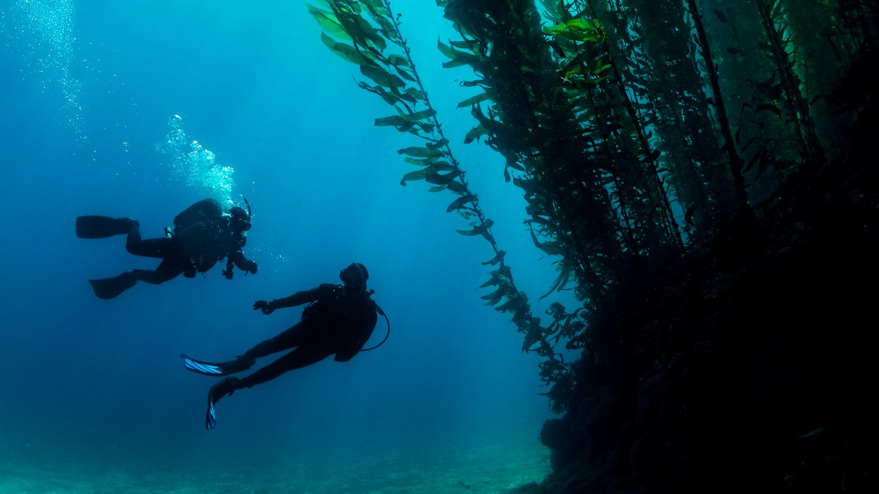 PADI Deep Diver eLearning course cover - scuba diving certification training for deep water skills