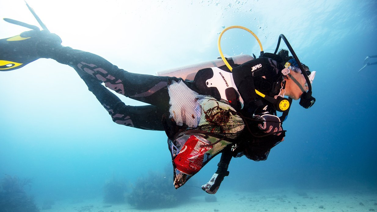 PADI Dive Against Debris eLearning course - underwater marine conservation and cleanup training