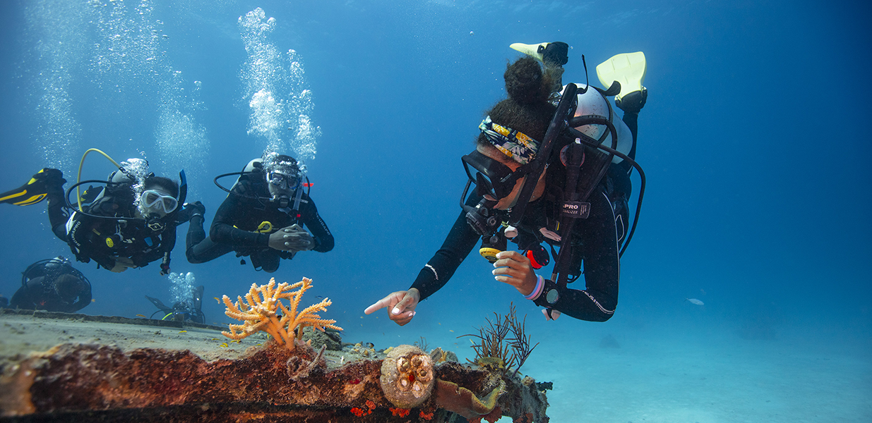 PADI Divemaster Digital Crew Pak scuba diving certification course materials