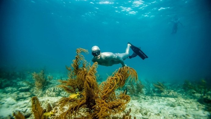 Master Freediver eLearning course for advanced divers developing elite apnea skills