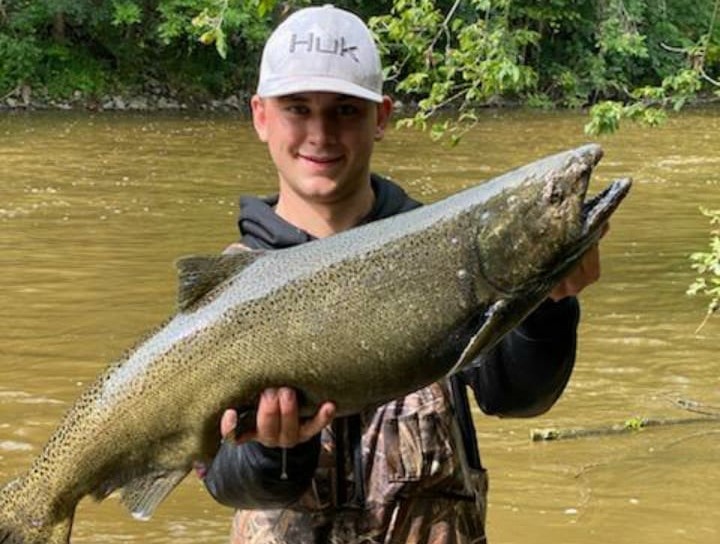 Chinook salmon caught in WI