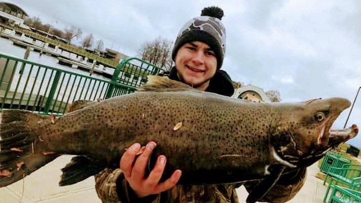 A single rainbow trout, a 36-inch fish caught in Neenah