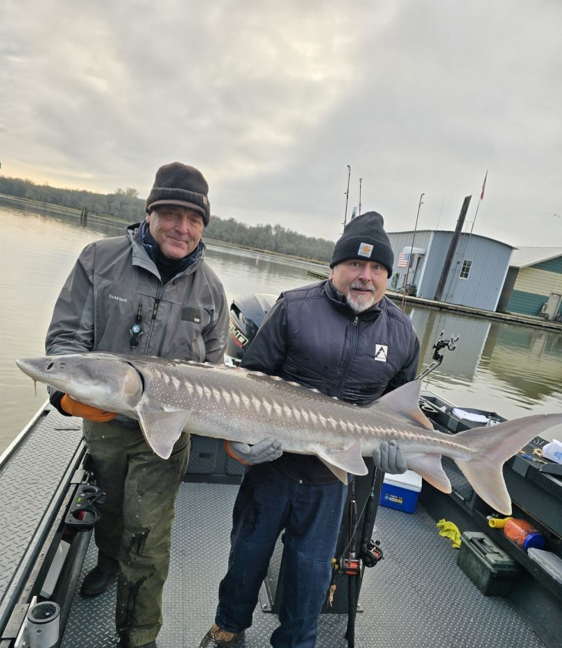 Fishing for a mighty white sturgeon in OR