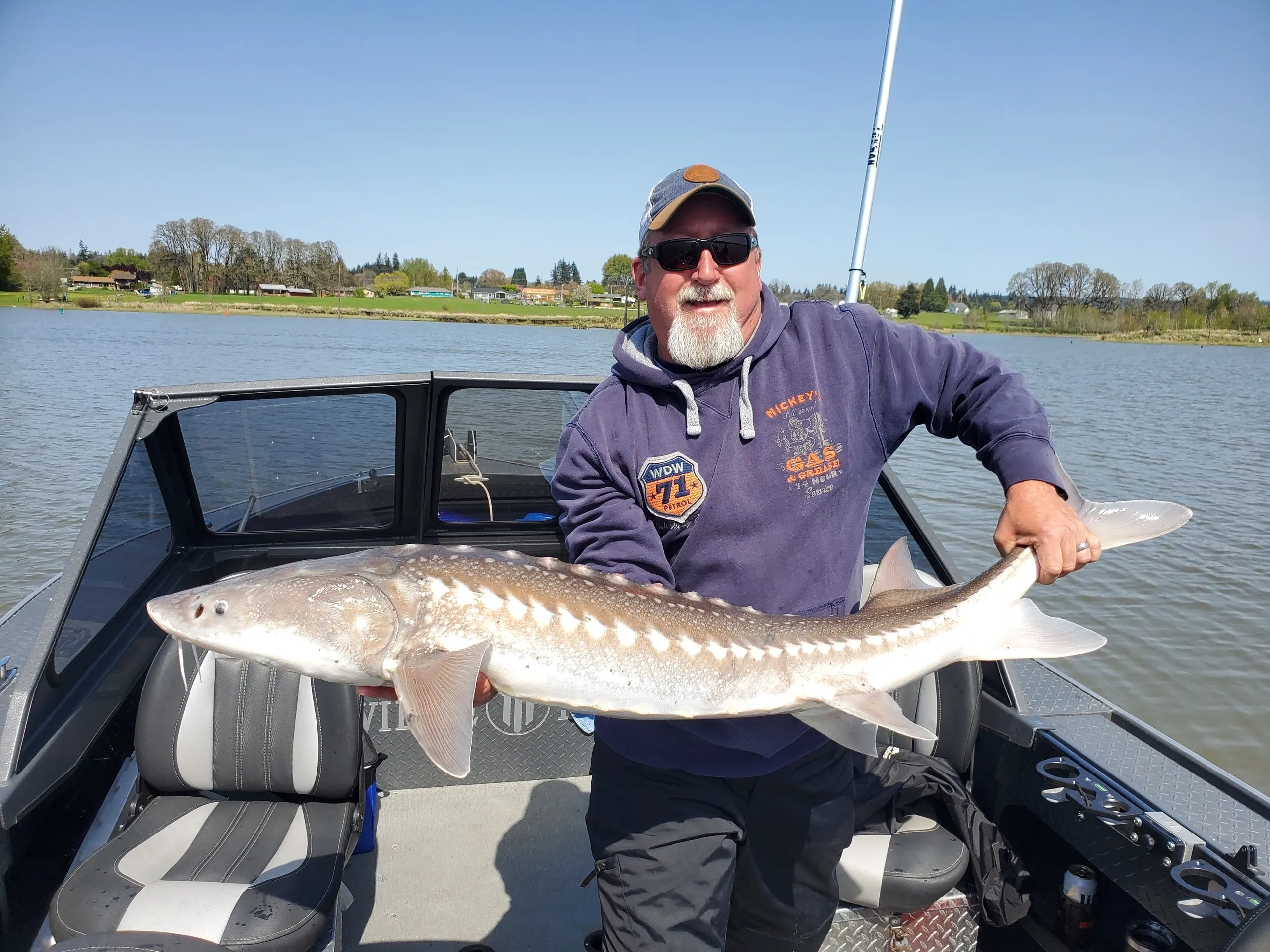 White Sturgeon on fishing trip in Portland