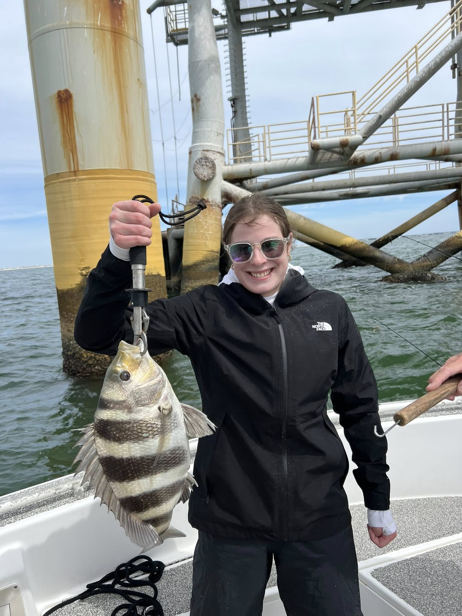 Freshly caught sheepshead fish held up on fishing boat in Gulf Shores AL
